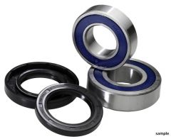 ALL BALLS WHEEL BEARING KIT 25-1242