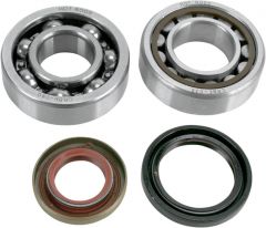 HOT RODS BEARINGS CRANK 85SX