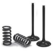 PROX VALVE EX/SPRING KIT LT-R450